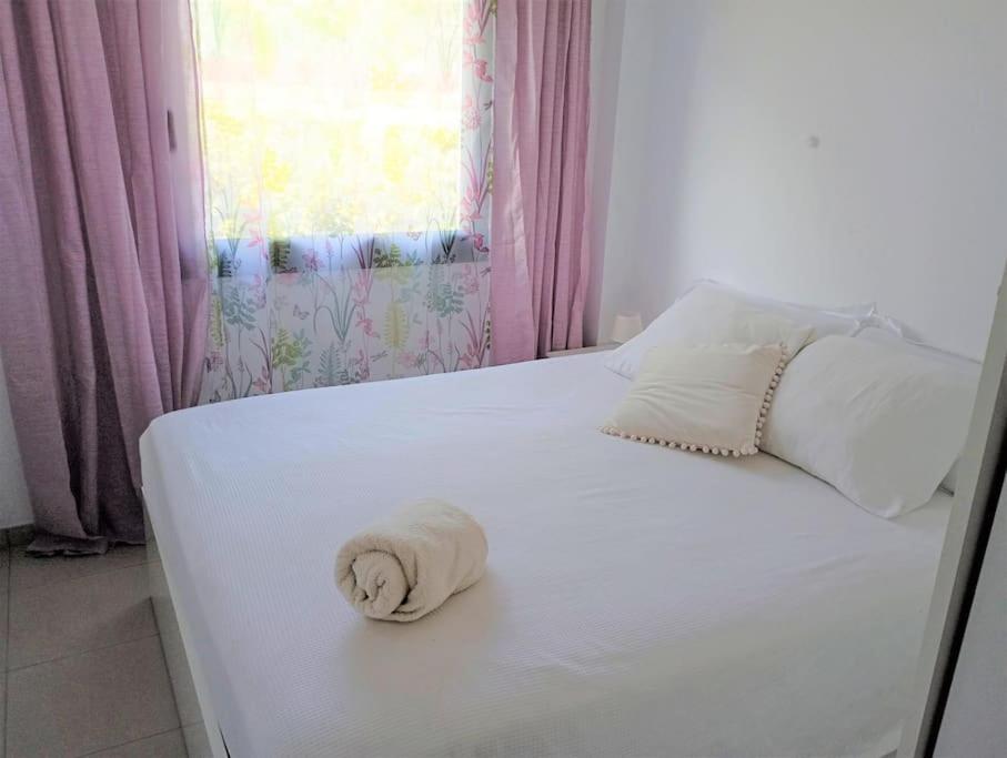 Apartamento En Primera Linea De Mar Roses Exterior photo